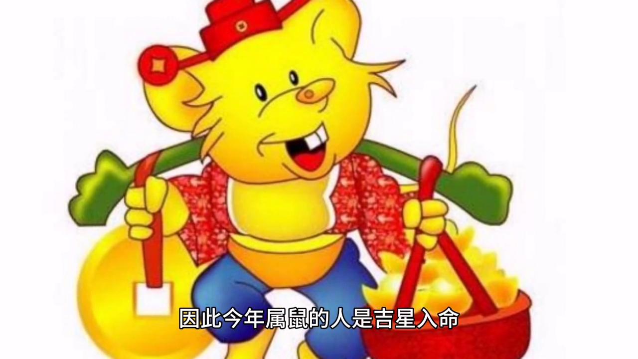 澳门今晚开奖生肖，理性看待与娱乐结合的智慧2024澳门今天晚上开什么生肖啊鼠害怕是什么