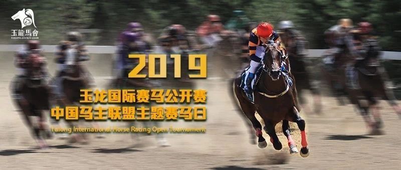 2019年马会全年资料回顾，赛场风云与精彩瞬间二0一九年马会全年资料1
