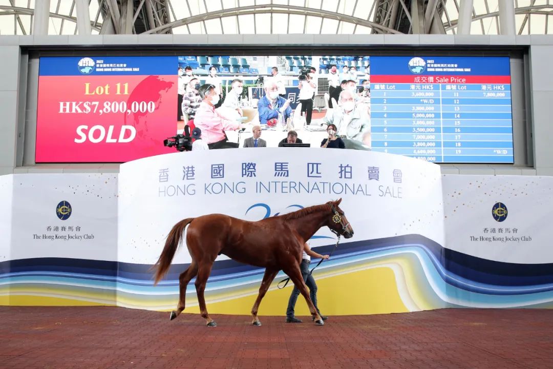 2019香港马会资料大全，免费获取与深度解析香港2021年马会资料大全