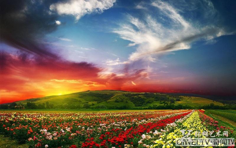 彩天堂，梦幻般的色彩之旅彩天堂平台怎么样