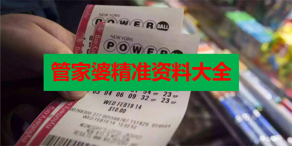 2048年澳门管家婆资料大全，揭秘未来彩票趋势与数据分析的奥秘