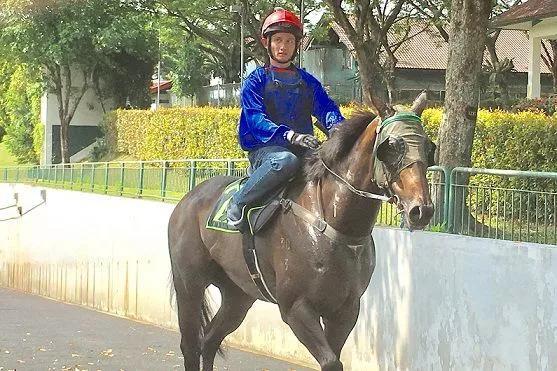 2019香港马会全年资料大全，精彩赛事与辉煌成就的年度回顾香港2021年马会资料大全