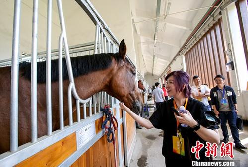 探索正版马会免费资料大全的奥秘，专业与价值的双重保障正版马会精选资料大全+新闻