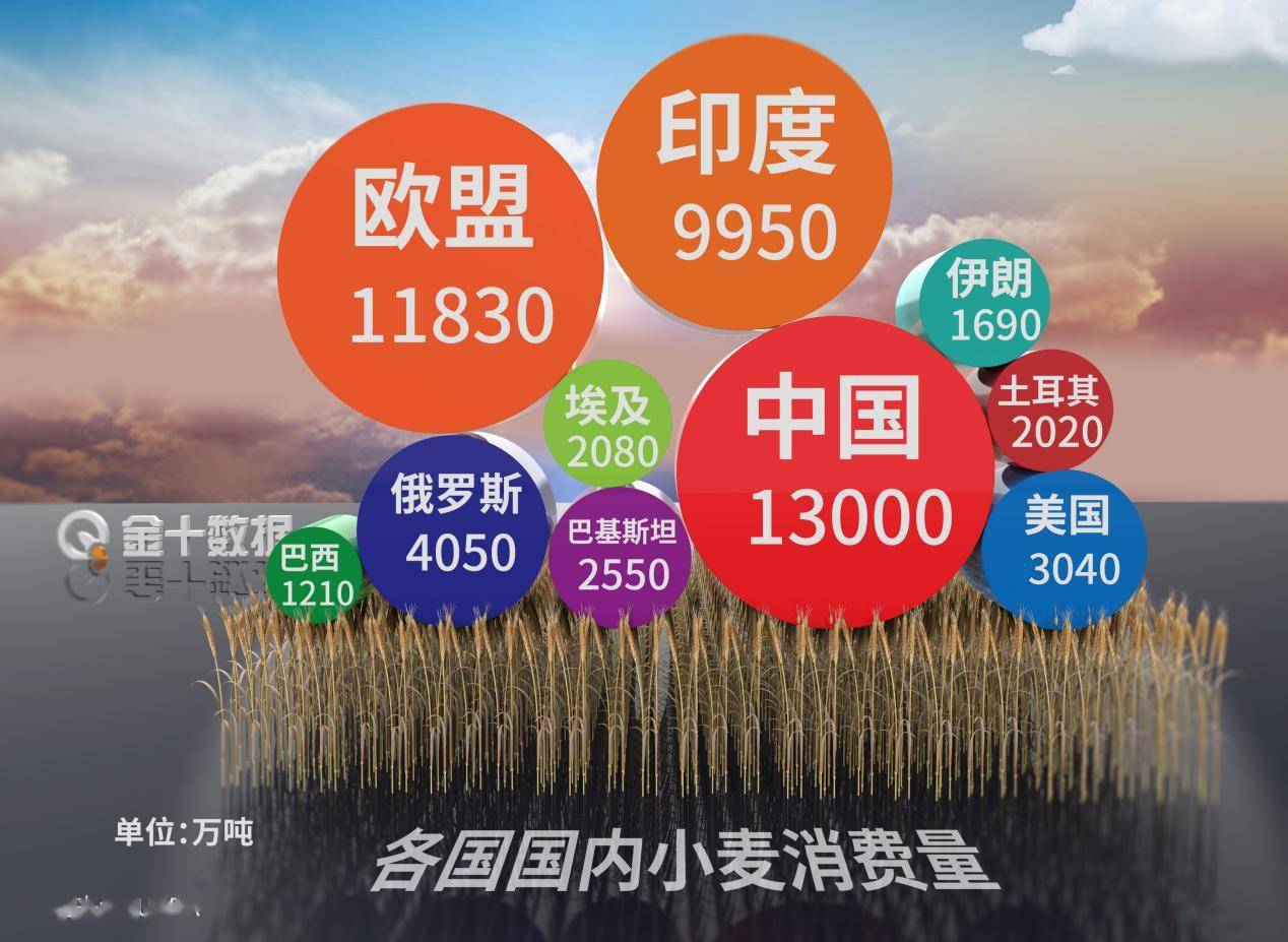 2048年澳门管家婆三肖15%预测，理性分析与警示2024年澳门管家婆三肖100%双色球开奖结果
