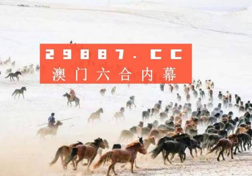 澳门彩49，探寻新开奖记录的奥秘新澳门彩4949最新开奖记录今天