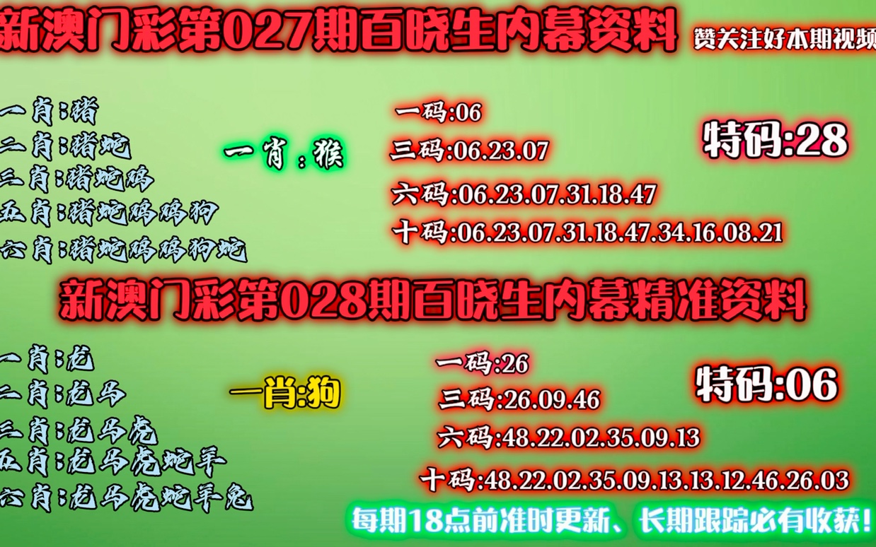 澳门六开彩，全年记录与深度解析