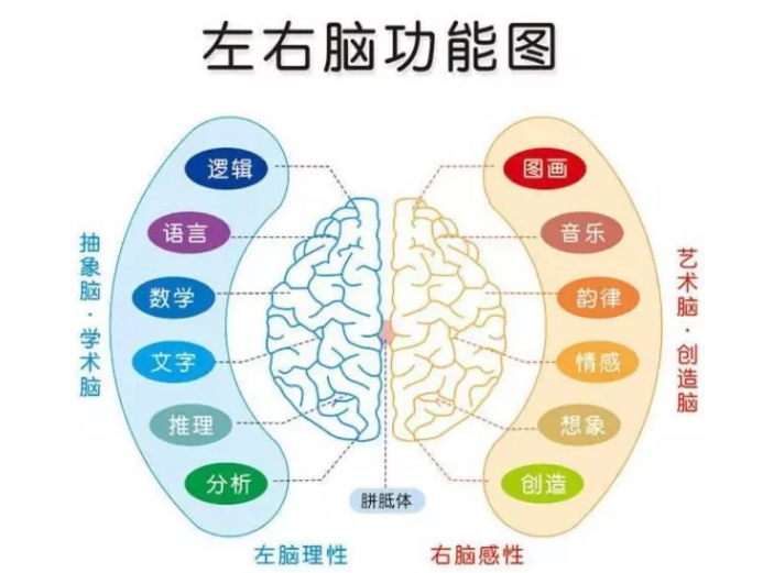 2036年，一码预测的未来与理性思考2023一码一肖100%准确285.