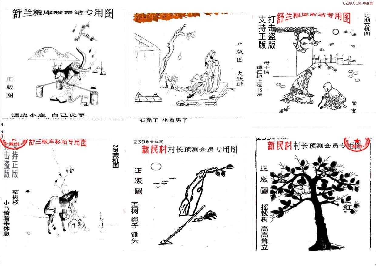 探索天牛3D图库，创意与技术的完美融合天牛3d图库汇总大全
