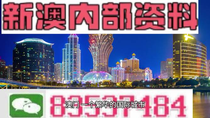 澳门精准资料，期期的精确洞察与未来展望新澳门精准免费大全