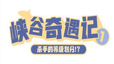 澳门六哥最新直播视频网站下载官方免费版，探索网络娱乐新风尚澳门六哥是谁