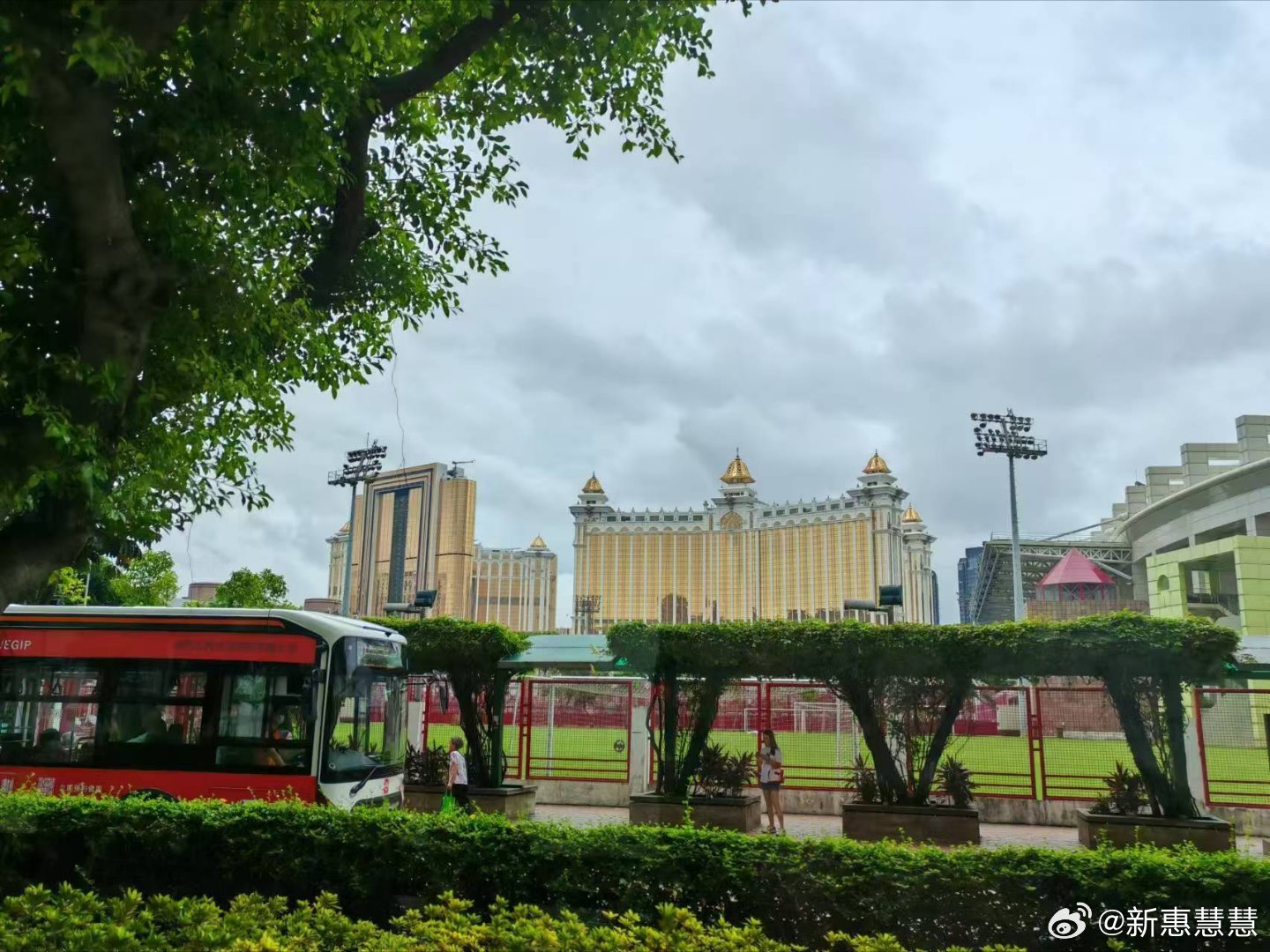 澳门六姐，揭秘背后的故事与高清图库免费下载探索澳门六厂