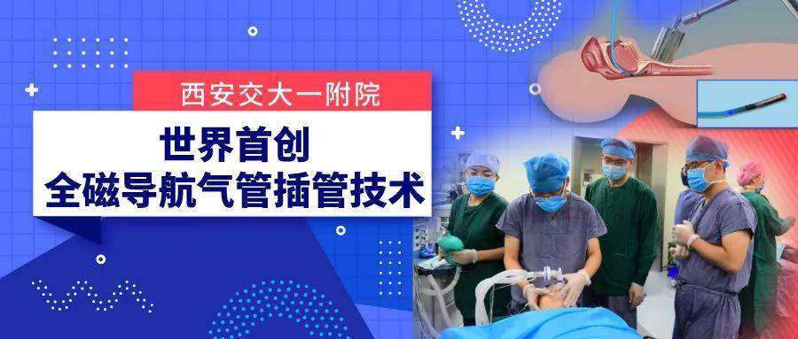 插管技术新突破,第210期动态图解析与临床应用探讨插管第2100期