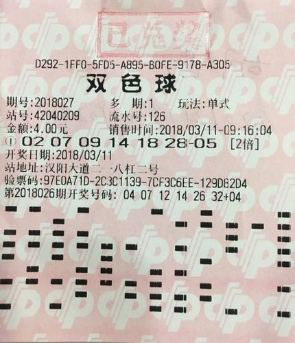 澳门码开奖记录，揭秘背后的数字游戏与彩民心声澳门码开奖记录2025年今晚开奖结果