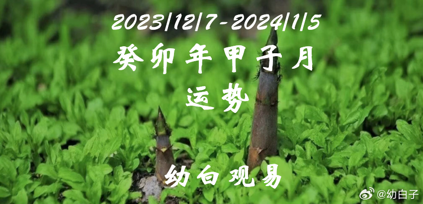 理性看待彩票与管家婆四肖八码期的误区—以智慧之眼洞察生活真谛管家婆四肖八码精选期