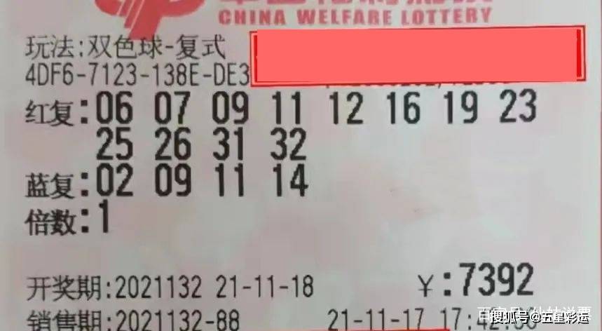 今晚已开特马，揭秘彩票背后的故事与理性思考今晚已开特马开奖结果一