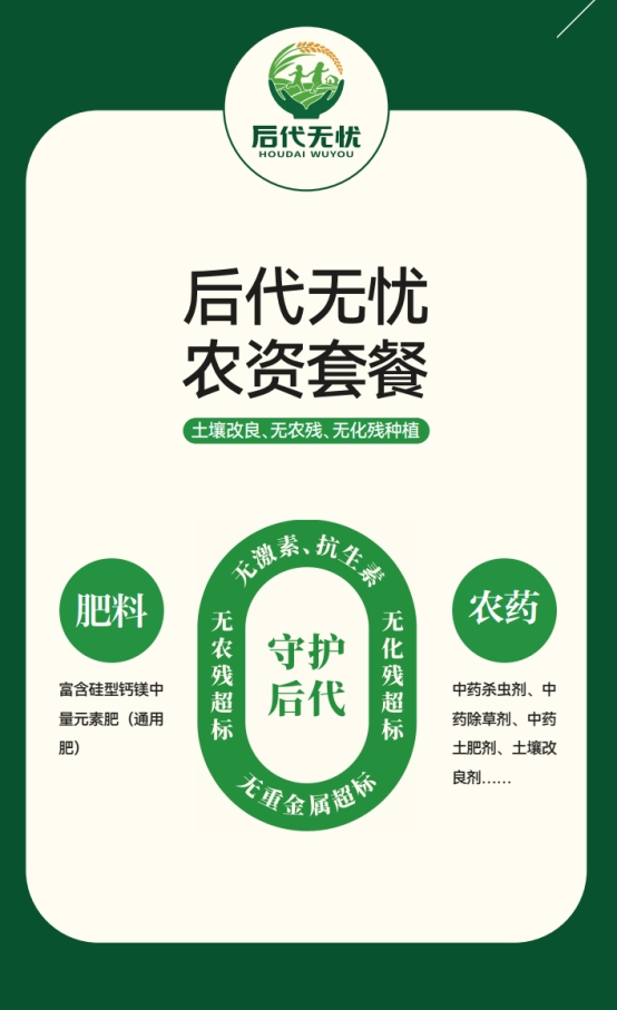 管家婆一码与五福生肖，揭秘传统智慧中的现代应用