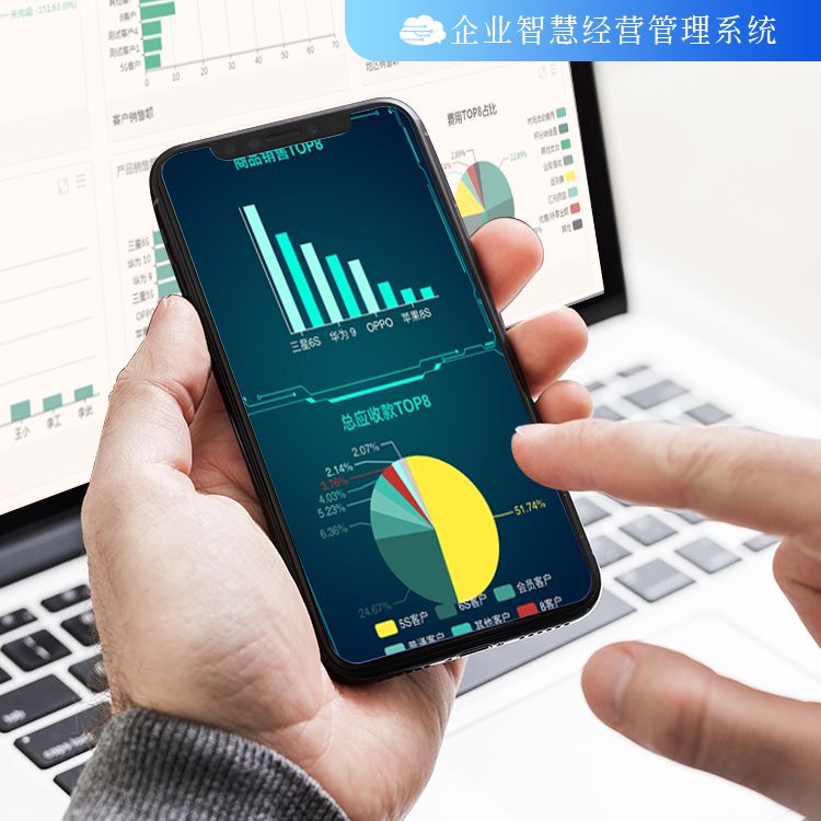 管家婆全年资料，企业运营的智慧之眼管家婆吧
