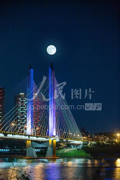 蓝月亮心水论坛，网络交流的璀璨明珠蓝月亮心水高手论坛打造一