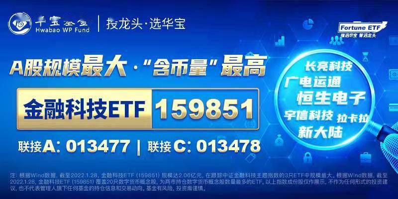 探索42198金牛网论坛，数字背后的网络社区与投资智慧42198金牛网论坛的登录方式