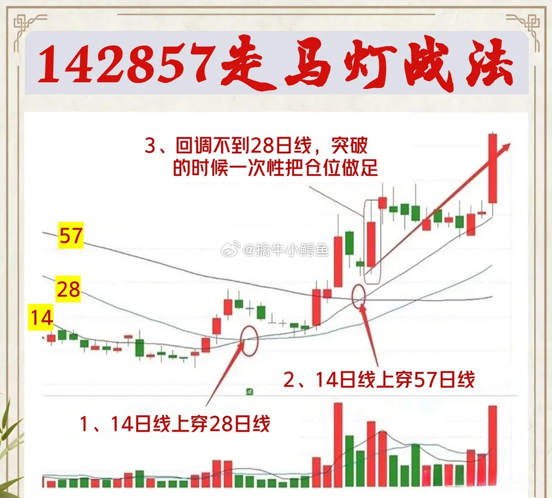 澳门特马开奖号码，揭秘背后的数字游戏与文化意义今期澳门特马开奖号码177期