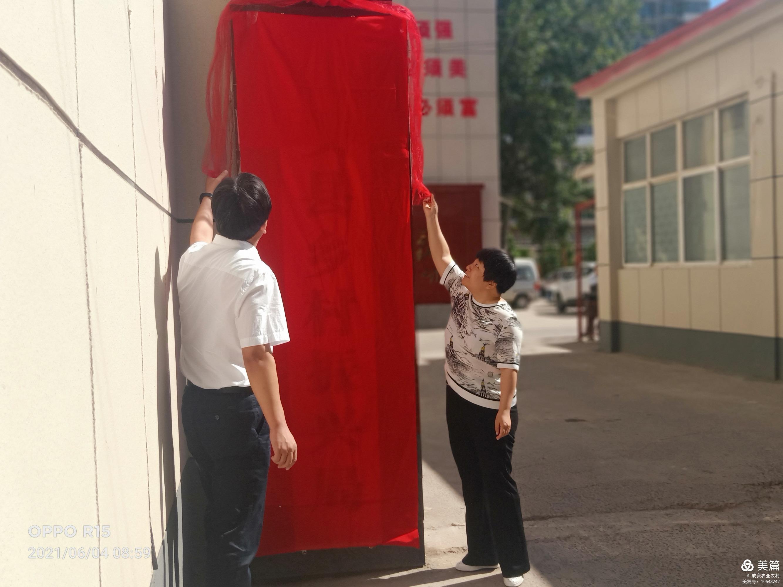 澳门2045正版资料免费公开,一场信息革命的序幕澳门2024正版资料免费公开回