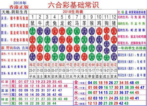 2048澳门正版资料大全，生肖卡揭秘与玩法指南2021年澳门资料表图十二生肖