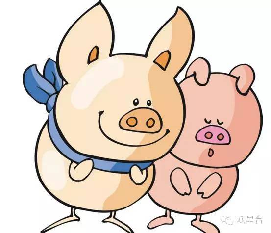揭秘香港今期开奖结果资料，全面解析与深度解读香港今期开奖结果资料直播