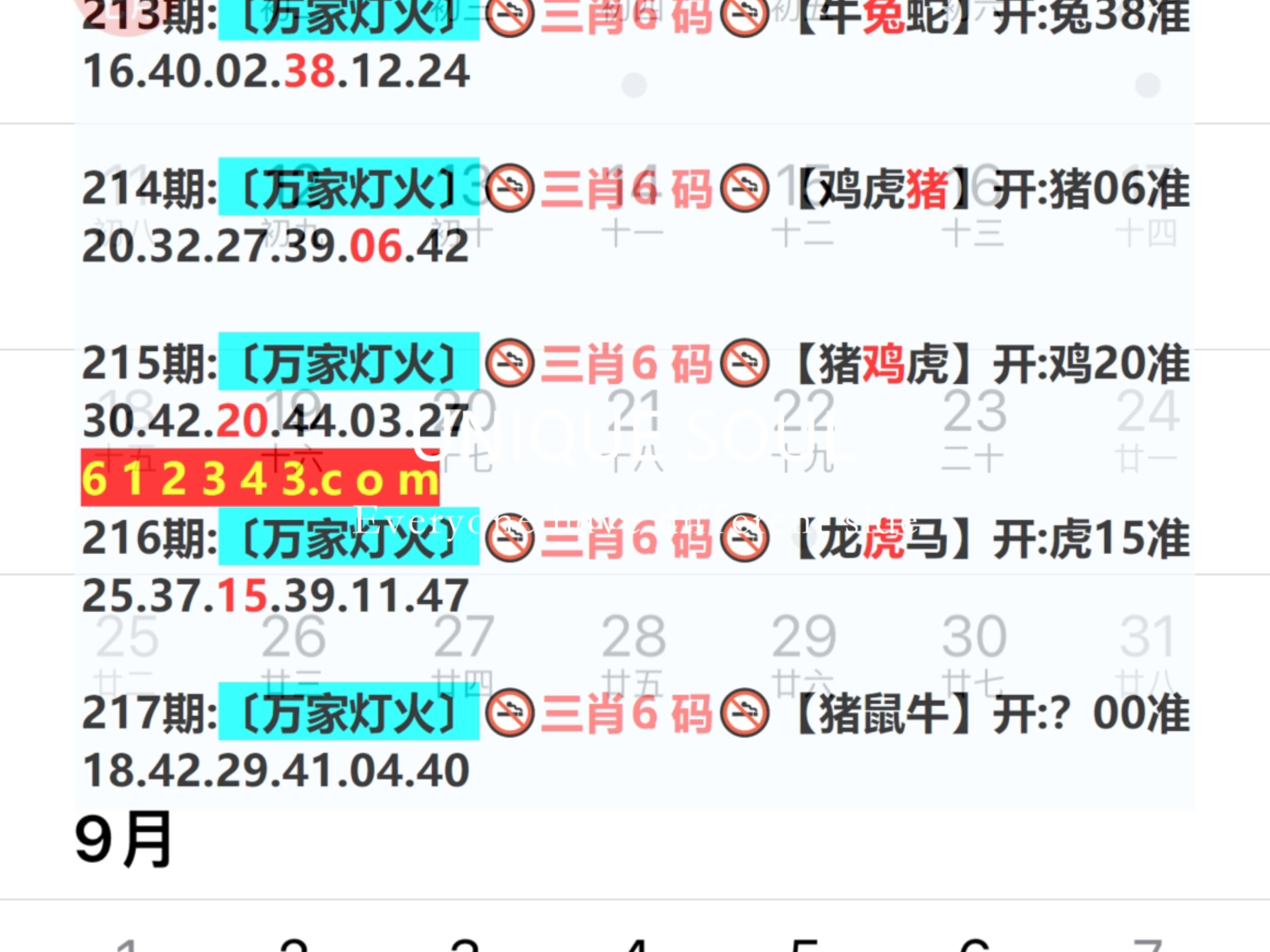 四肖八码精准蓝月亮材料