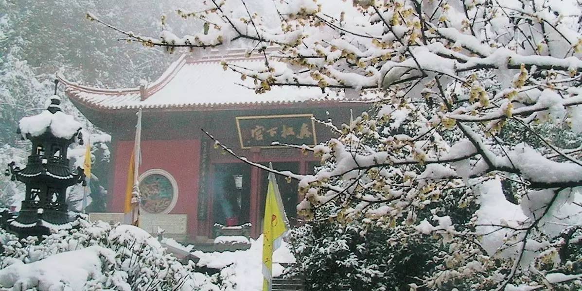 探索黄大仙精准资料，免费大全的奥秘与价值黄大仙精准资料免费大全功能介绍