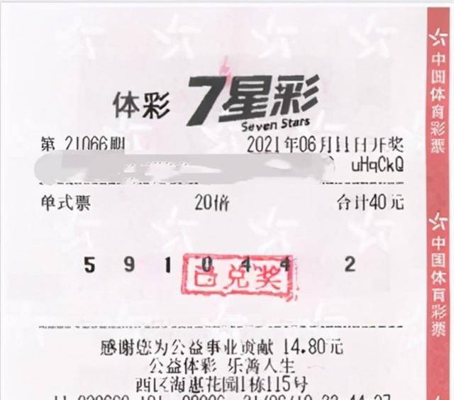 七星彩高手论坛，揭秘数字背后的智慧与策略七星彩高手论坛一琼粤