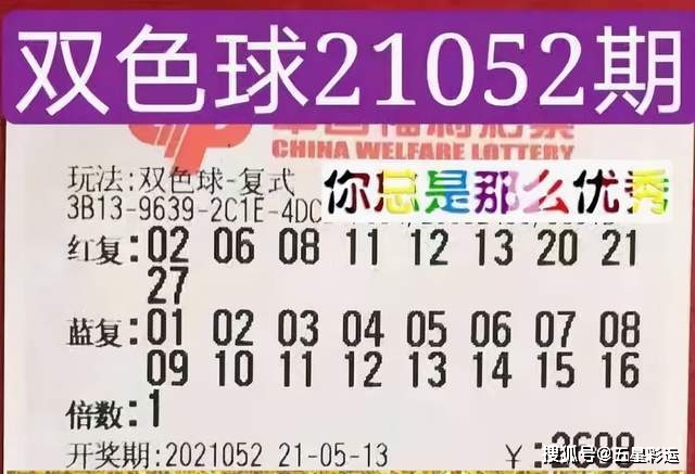 2031年今晚开奖揭秘，理性看待彩票与娱乐的平衡2021年今晚开什么特马资料