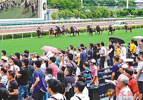 探索香港马会资料，历史、功能与影响港香六个彩今期资料