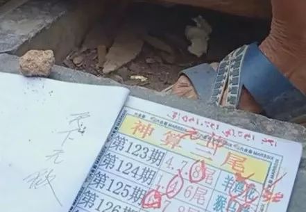 探索香港六合彩的魅力，今晚开奖结果查询全攻略香港码今晚开奖结果查询香港近15期开奖记录