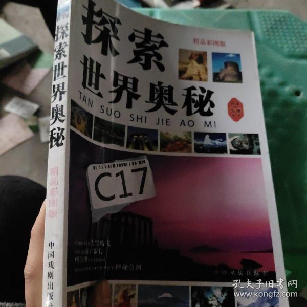 探索香港彩最新开奖号码的奥秘，揭秘数字背后的故事香港开彩开奖本期结果