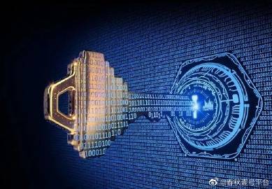 探索数字世界的新篇章，www.4932678501com的奇妙之旅