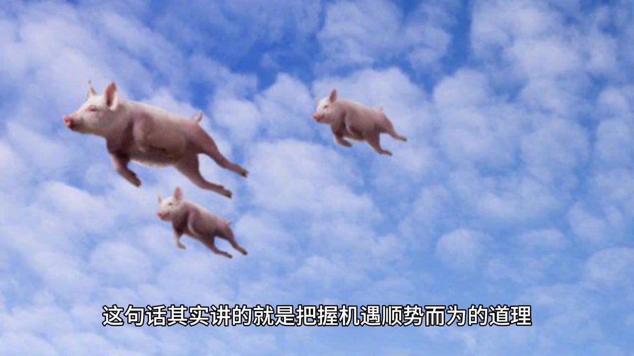 2043年香港开奖历史回顾，数据背后的趋势与展望2024年香港开奖历史记录是不是真的