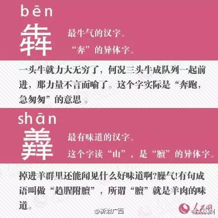 探寻二四六天天好彩每期文字资料大全的奥秘