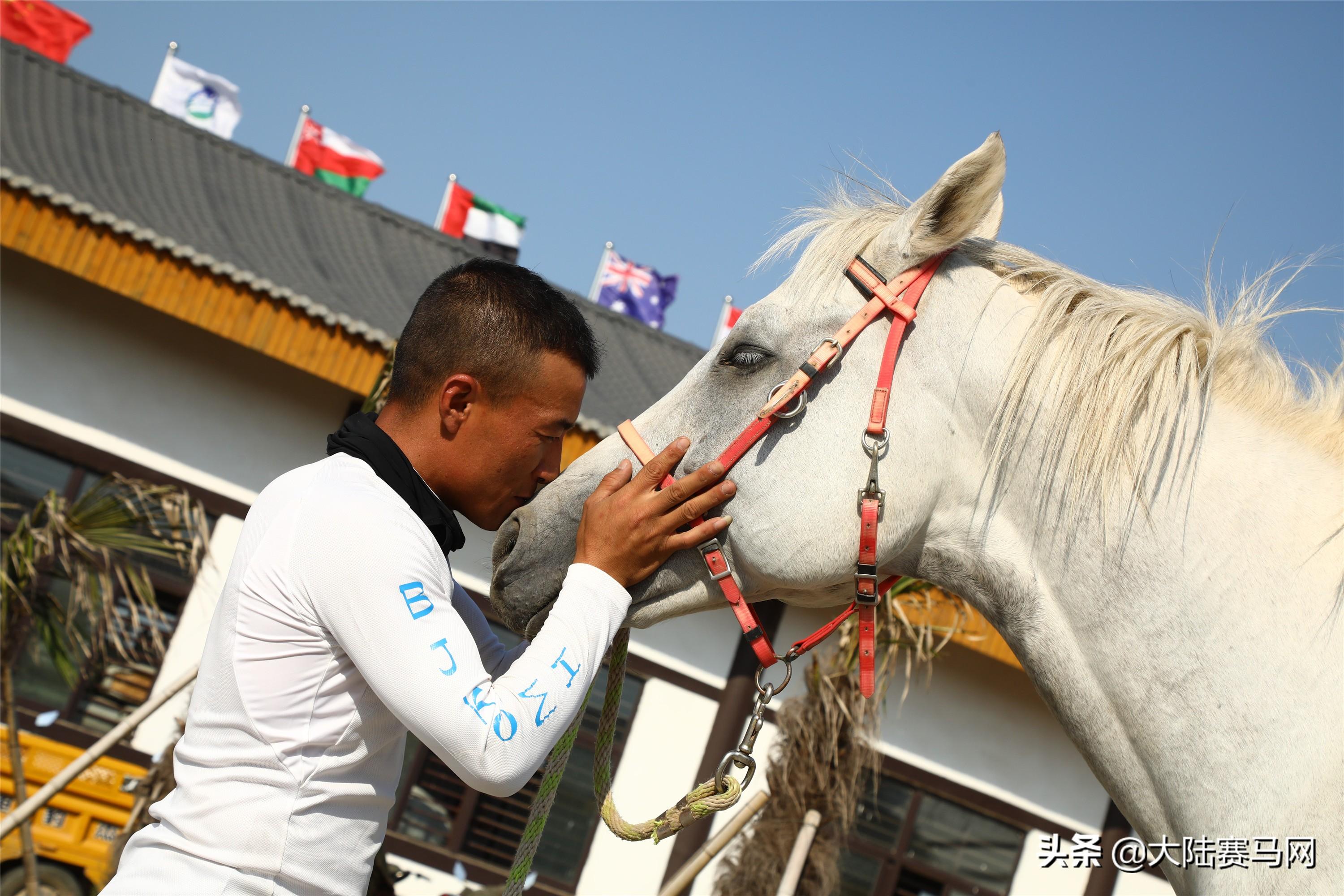 2019年香港马会资料大全，全面解析与精彩回顾香港·马会资料大全2017