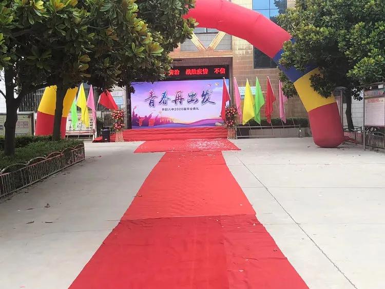 内部资料精准大全