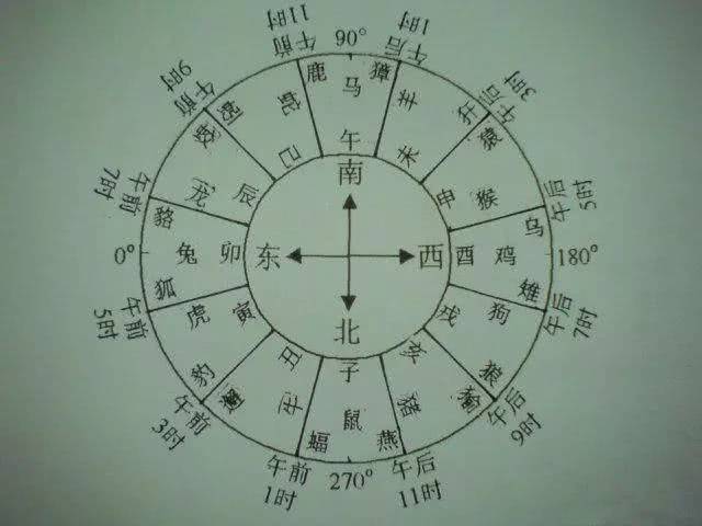 揭秘一码与生肖的神秘关系—103次准确预测背后的科学一码一肖100准确率网站是什么