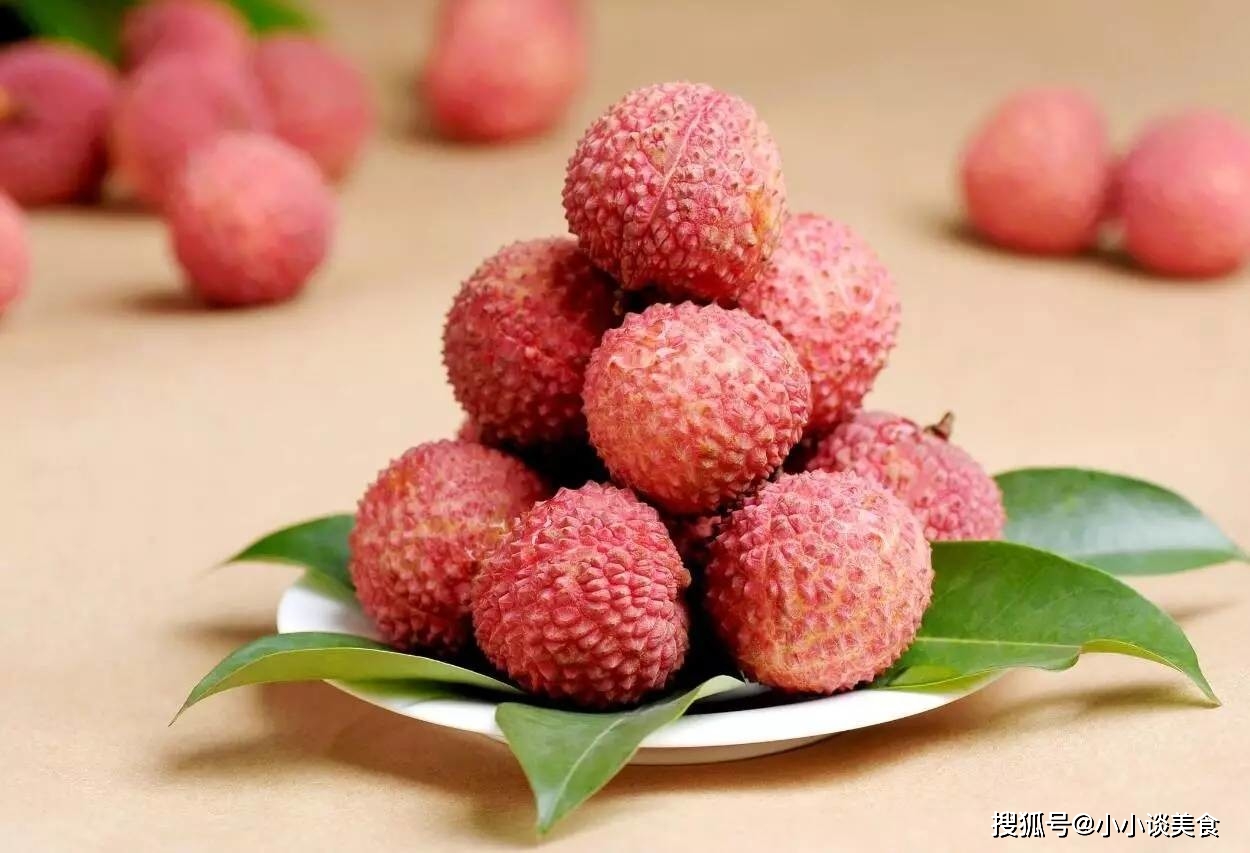 全年资料免费大全6749，解锁知识海洋的钥匙正版免费全年资料大全2021
