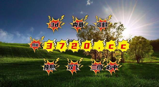 新澳开奖结果资料查询29期—揭秘数字背后的奥秘与趋势新澳开奖结果资料查询29期开奖号码